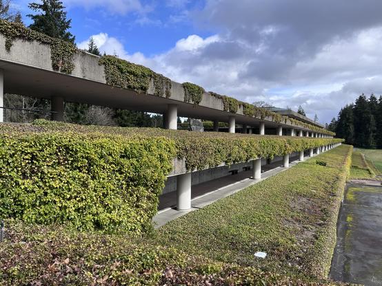 Photo taken on a blustery, cloudy-but-blue-sky March afternoon in western Washington. Picture is of one corner of the now abandoned Weyerhaeuser campus, a building best described as a skyscraper resting on its side. Abundant plantings overflow the walls.  
