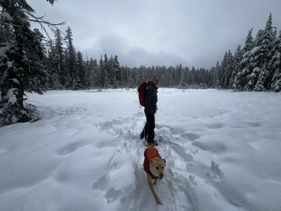 Enid Lake with a few inches of fresh snow