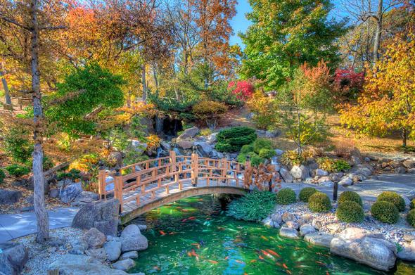 A serene garden scene features a wooden bridge arching over a koi pond, surrounded by vibrant autumn foliage.