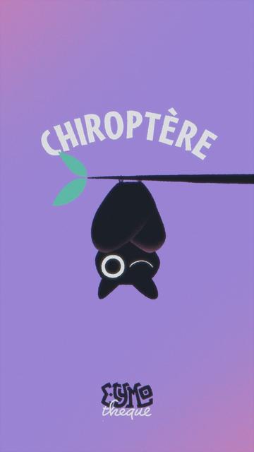 Vignette épisode chiroptère
