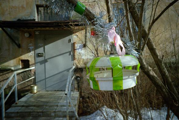 In the photo there is a bird feeder at the entrance of the house. The feeder is wrapped with green tape, hung on a pink ribbon, and surrounded by Christmas tinsel.
