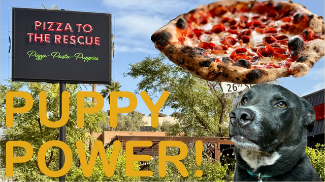 Draft YouTube thumbnail for my next video.  There’s the front of the restaurant, “Pizza to the Rescue”, there’s a pepperoni pizza floating in the air, and a black and white looking lovingly at a pizza he will never get a bite of.  Sorry, Ollie.

Text reads, “Puppy power!” evoking everyone’s favorite canine, Scrappy Doo.