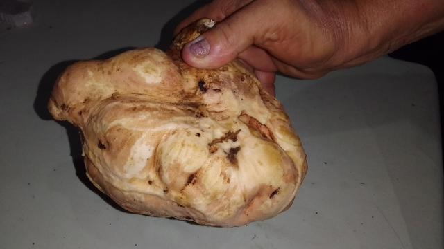 Batata gigante 🥔🥔
