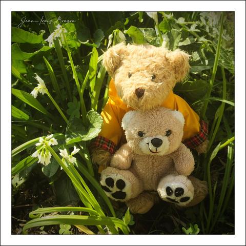In this charming scene, two adorable stuffed bears find themselves nestled among vibrant greenery. The larger bear, cozy in a bright yellow rain jacket, exudes a sense of warmth and protection, while the smaller bear, with its soft beige fur and innocent expression, leans against its companion.
The lush backdrop of leaves and wildflowers creates a vivid contrast, emphasizing the bears' plush textures. This setting, ripe with nature's abundance, suggests themes of comfort and companionship. The larger bear might symbolize a guardian or mentor role, while the smaller bear captures the innocence of childhood.