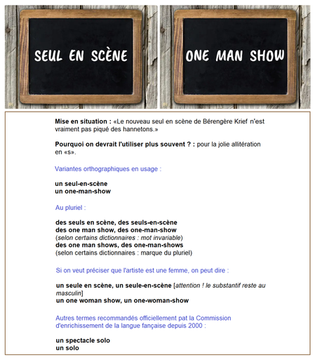 L'anglicisme
▪️ un one-man-show 👎

a un équivalent français original :

▪️ un seul en scène / un seul-en-scène 👍.

On peut également dire et écrire :
▪️ un spectacle solo 👍,
▪️ un solo 👍.

Si on veut préciser que l'artiste est une femme, on peut dire et écrire :

▪️ un seule en scène / un seule-en-scène 👍 
[Attention ! dans ce cas, l'article défini de ce substantif reste au masculin].

