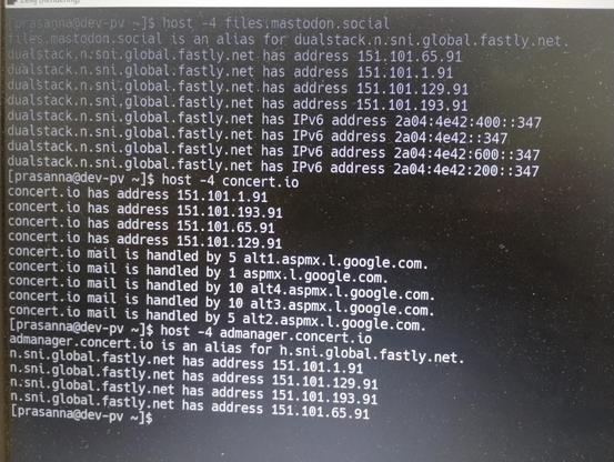 Screenshot showing IP address overlap for files.mastodon.social and concert.io domains