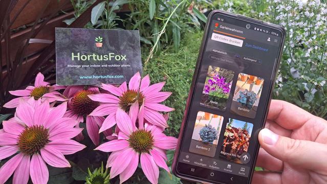 A HortusFox card sitting on flowers, as well as someone holding a phone having the HortusFox app open.