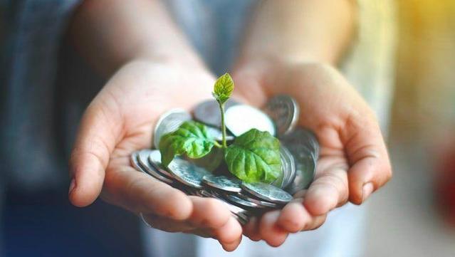 Two hands holding coins and an offspring