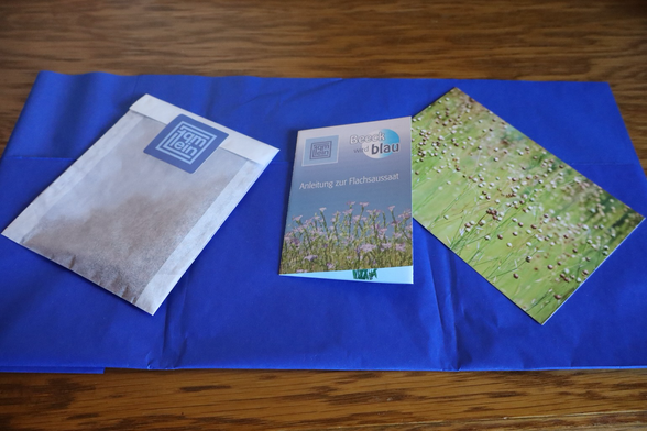 Tüte mit Saatgut und 2 Flyer auf blauem Untergrund
