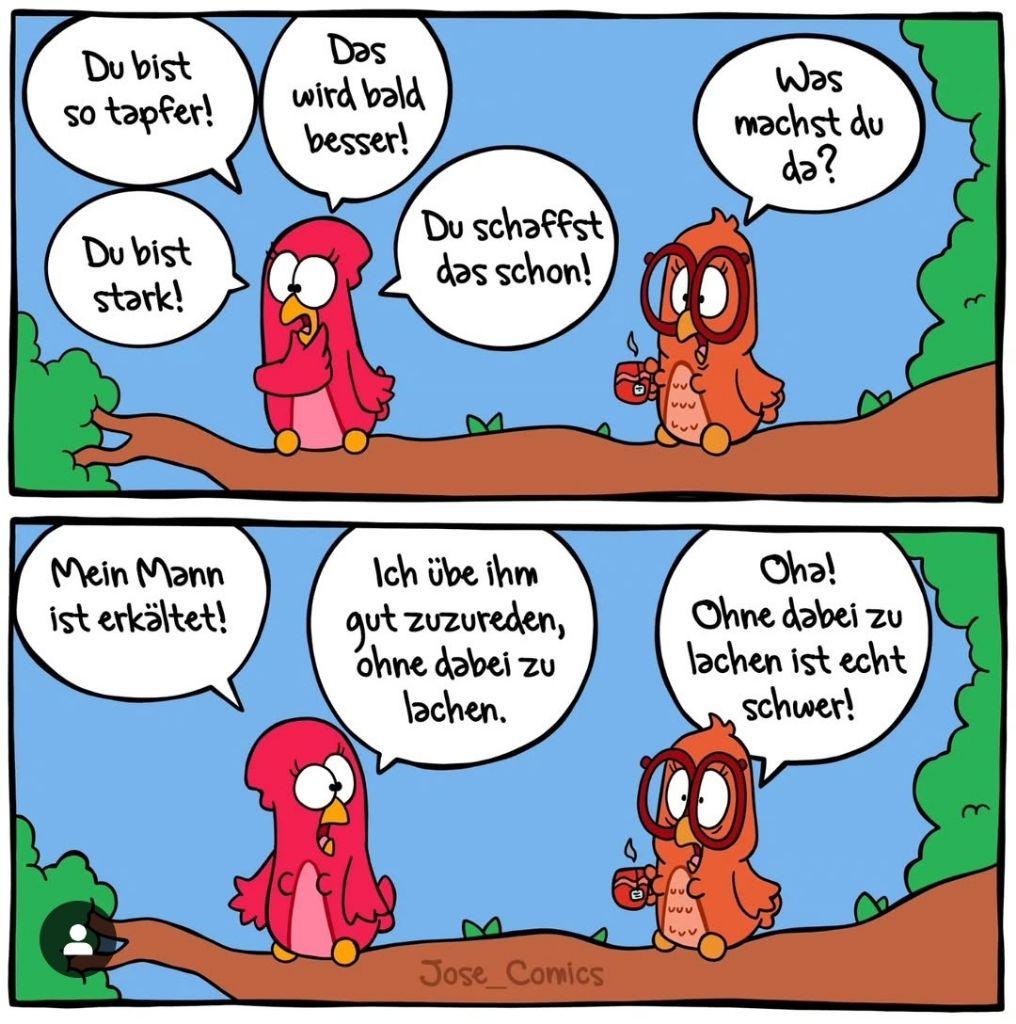 Das Bild zeigt eine Comic-Szene mit zwei Vögeln auf einem Baumstamm. Der linke Vogel ist rot und scheint traurig oder besorgt, während der rechte Vogel braun ist und eine Brille trägt. Der rote Vogel sagt: "Du bist so tapfer! Du bist stark! Das wird bald besser! Du schaffst das schon!" Der braune Vogel fragt: "Was machst du da?" Der rote Vogel antwortet: "Mein Mann ist erkältet!" "Ich übe ihm gut zuzureden, ohne dabei zu lachen." Der braune Vogel erwidert: "Oh! Ohne dabei zu lachen ist echt schwer!" Im unteren Bildteil ist der Name "Jose Comics" zu sehen.

Bereitgestellt von ⁨@altbot⁩, privat und lokal generiert mit Ovis2-8B