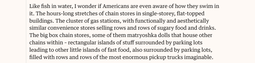 Like fish in water, I wonder if Americans are even aware of how they swim in
it. The hours-long stretches of chain stores in single-storey, flat-topped
buildings. The cluster of gas stations, with functionally and aesthetically
similar convenience stores selling rows and rows of sugary food and drinks.
The big box chain stores, some of them matryoshka dolls that house other
chains within - rectangular islands of stuff surrounded by parking lots
leading to other little islands of fast food, also surrounded by parking lots,
filled with rows and rows of the most enormous pickup trucks imaginable.
