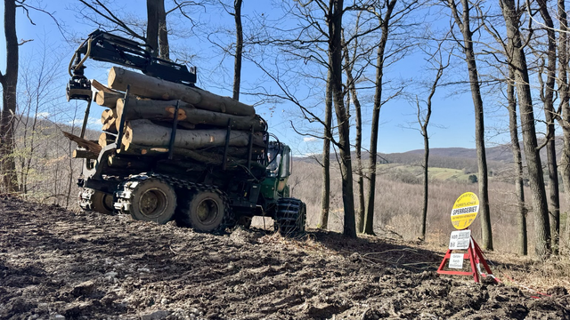 In the forest: A harvester pushes a large trailer full of tree trunks up an incline. Both with heavy chains. You can see the rutted ground in the foreground. A sign on the right: “No trespassing until May 31”. Bright blue sky.