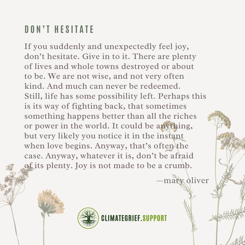 Don't Hesitate, a poem by Mary Oliver: Don't Hesitate by Mary Oliver
 
If you suddenly and unexpectedly feel joy, don’t hesitate. Give in to it. There are plenty of lives and whole towns destroyed or about to be. We are not wise, and not very often kind. And much can never be redeemed.
Still, life has some possibility left. Perhaps this is its way of fighting back, that sometimes something happens better than all the riches
or power in the world. It could be anything, but very likely you notice it in the instant when love begins. Anyway, that’s often the case. Anyway, whatever it is, don’t be afraid of its plenty. Joy is not made to be a crumb.