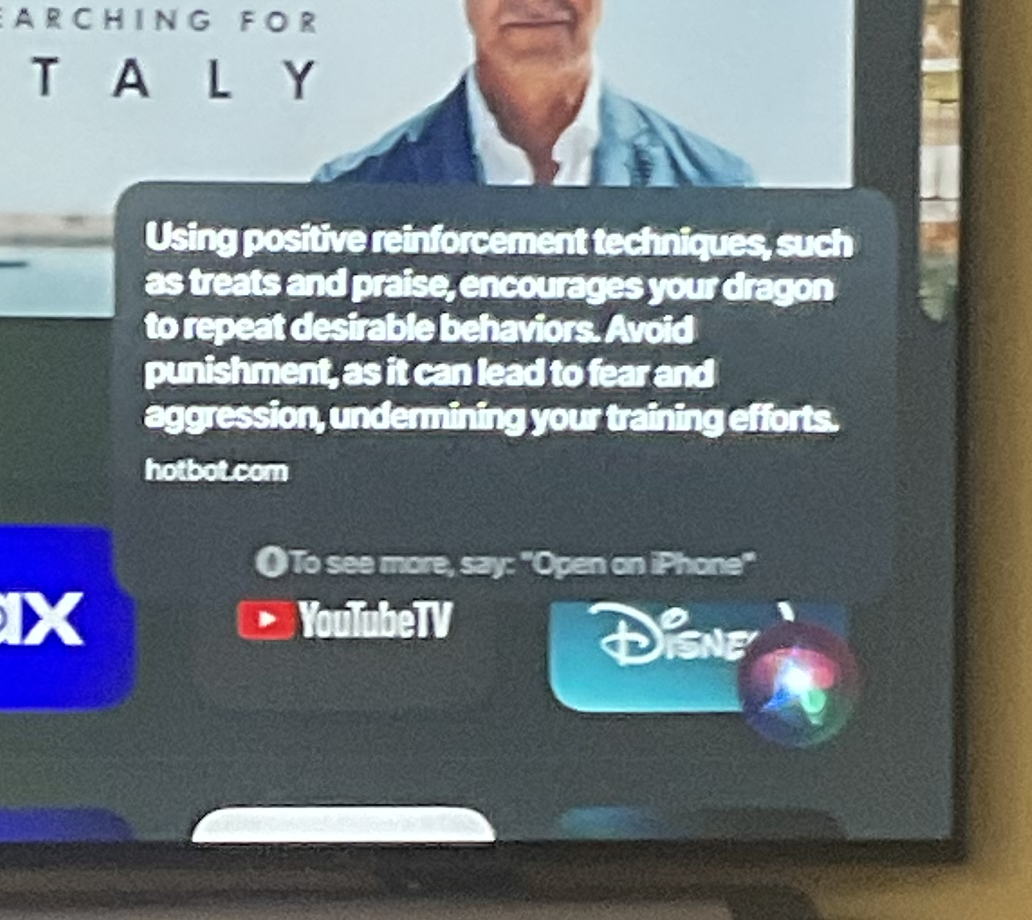 AppleTV Siri response to “How to Train Your Dragon”, reading “Using positive reinforcement techniques, such as treats and praise, encourages your dragon to repeat desirable behaviors. Avoid punishment, as it can lead to fear and aggression, undermining your training efforts.” [citing hotpot.com]