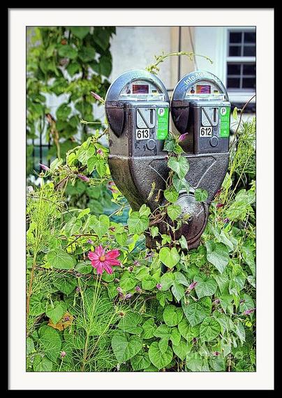 New upload available as art prints in my FAA shop gallery: Happy parking meters - Quebec, Canada. 