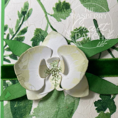 Handmade card front closeup. Paper watercolours orchid, textured watercolour leaves background, simple green velvet ribbon strip