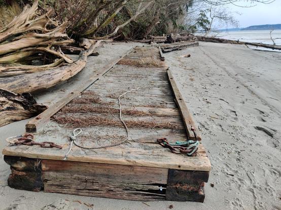 A (formerly) floating walkway extends away from the camera, washed up on the shore.