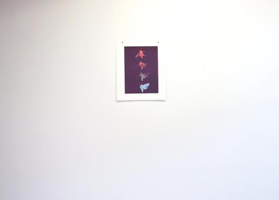 Une gravure sur lino imprimée sur papier et accrochée au mur, représentant le mouvement décomposé d'un papillon de nuit en vol.