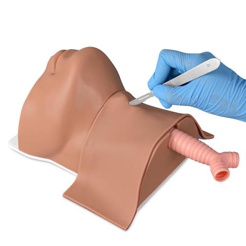 Airway Management Trainer