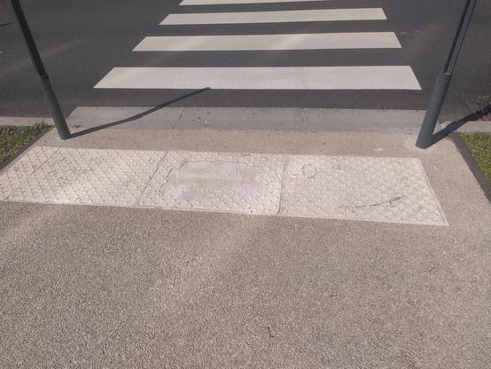 Dalle pododactyle posée, il y a env. 6 mois. Elle est très abîmée