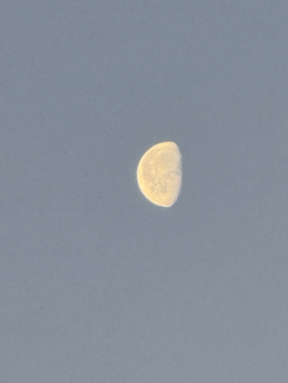 The bright morning moon