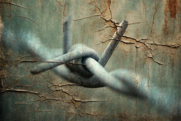 A close-up of barbed wire is juxtaposed against a cracked and weathered surface, creating a dramatic and gritty atmosphere. The muted colors enhance the sense of decay and ruggedness.