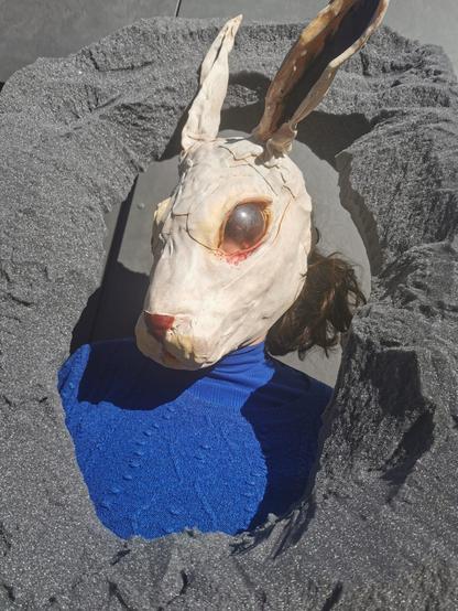 a woman with blue pullover and rabbit head