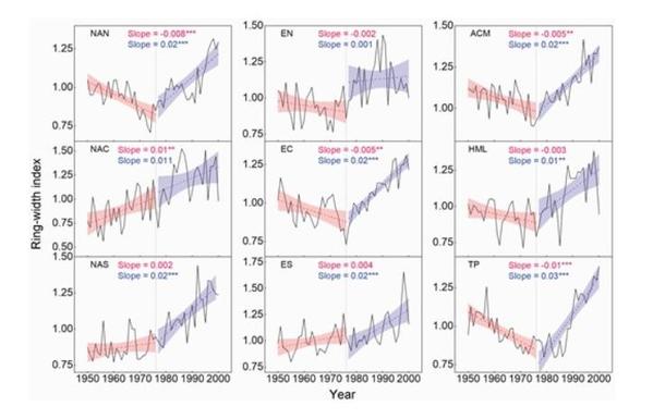 Mean standardized growth patterns from 1950 to 1976 (red dotted line) and from 1977 to 2000 (blue dotted line).