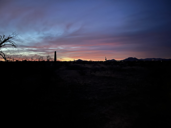 Last light in the Sonoran desert