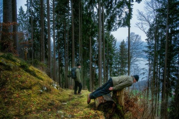 Planking im Wald