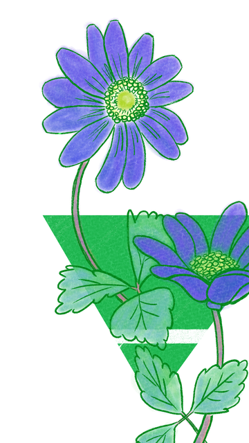 Ilustración a línea verde y mancha a color de una anémona (flor). Detrás, aparece un triángulo equilátero verde apuntando con su vértice hacia abajo atravesado por una línea blanca cerca de su vértice.
