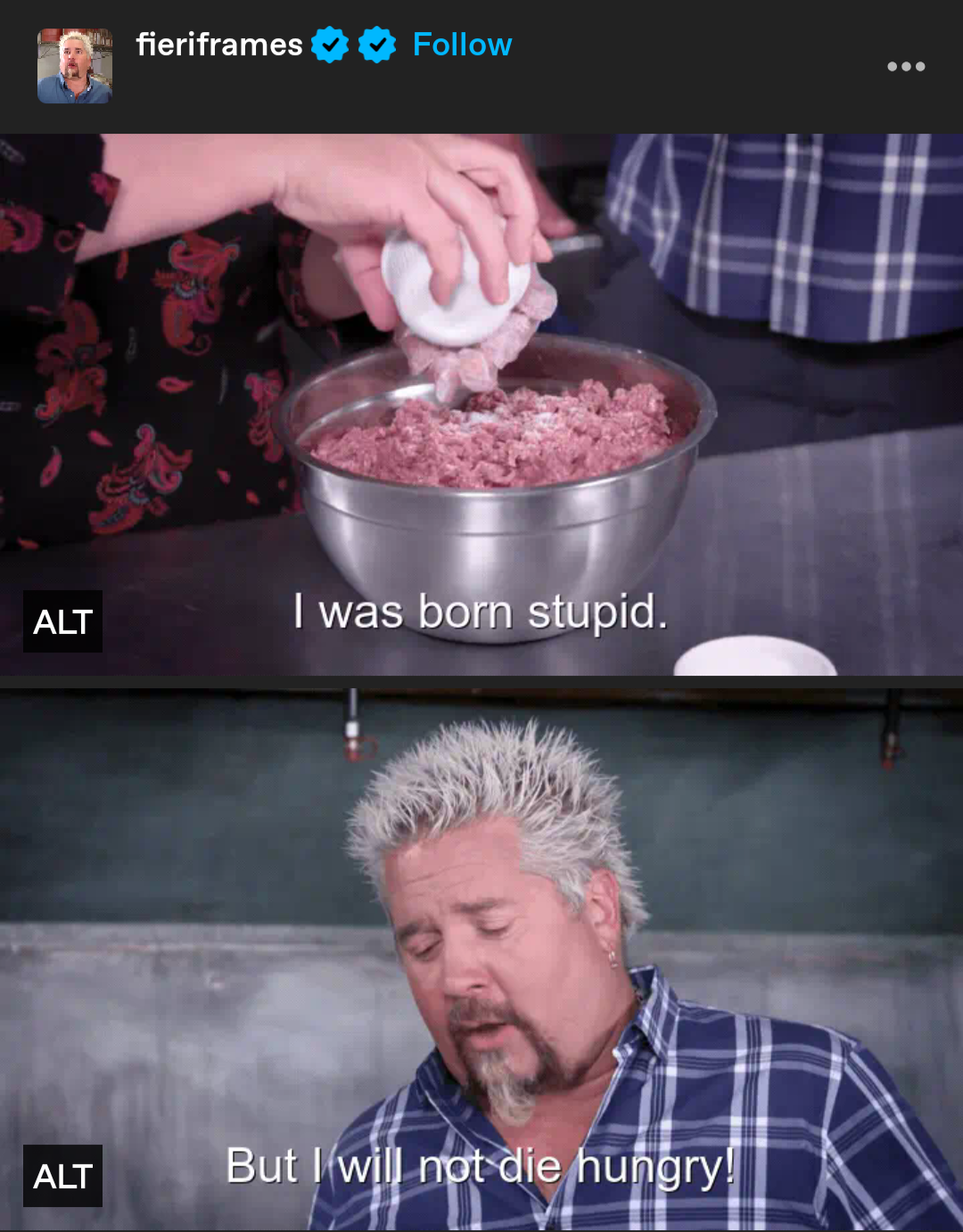 Guy Fieri meme 

Guy says"I was born stupid but I won't die hungry"