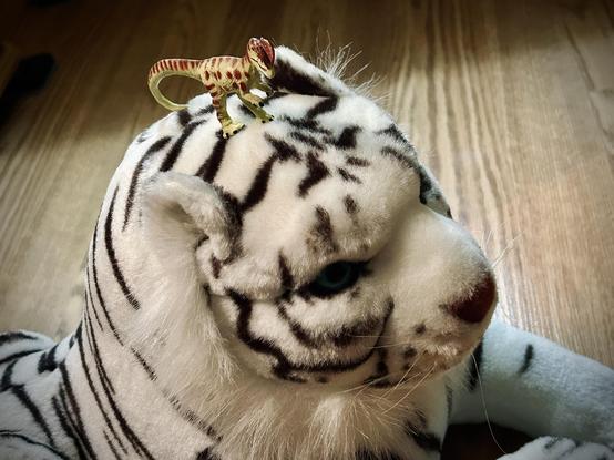 A green Dilophosaurus with brown spots stands on the head of stuffed white tiger on a brown, wooden floor.