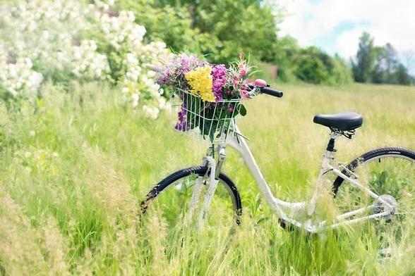 Ein weißes Damenrad mit Lenkerkorb und Blumen darin steht im hohen Gras einer Wiese. Dahinter sind Bäume zu sehen.