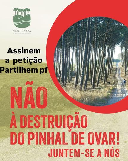 Não à destruição do pinhal de Ovar!
