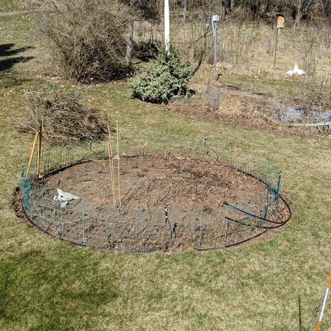 A photo showing a circular plant bed with a short green fence around it. It appears to have not much in it after last years dead foliage was removed. There are some stakes, decorative concrete quail, sprinklers, some loppers there. Beyond it to the left slightly is the pile of brown stalks and stuff. Beyond it to the right is another flower bed that isn't fully cleaned up and the base of a flagpole visible in the middle of the photo. Beyond that are two geese pretending for the moment that they get along before the next fight of spring. There are two bird houses generally to the left of the geese near the top of the photo. The ground around everything in the photo is mostly lawn or pasture and most of it is not very green but still brown from the winter freeze.