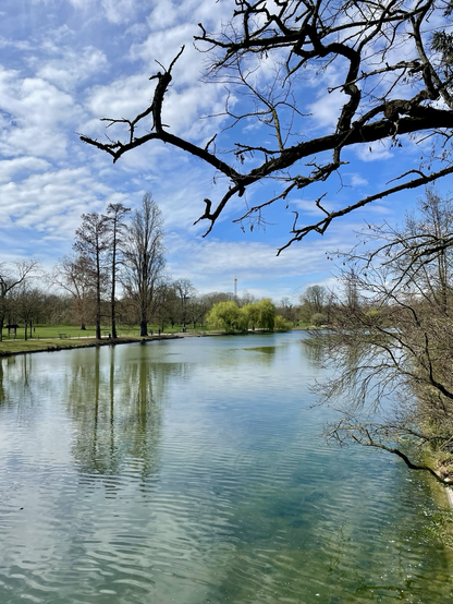 Vue du lac de Vincennes paisible bordé d’arbres nus et de quelques feuillus déjà verdoyants. Au premier plan, des branches sombres et dénudées encadrent le haut de l’image. Le ciel est bleu, parsemé de nuages clairs et filandreux. L’eau reflète le ciel et les arbres, créant un effet miroir doux.