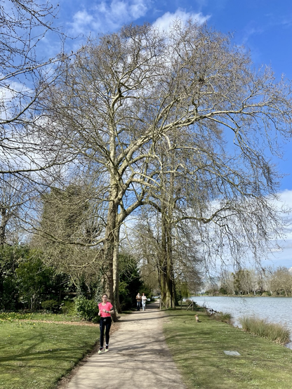 Un chemin de terre longe le lac de Vincennes à droite de l’image. Deux joggeuses s’y croisent, l’une en rose au premier plan, l’autre plus loin. Les arbres, encore sans feuilles, s’étendent au-dessus du sentier. L’ambiance est lumineuse et printanière, avec un ciel bleu parsemé de nuages blancs.