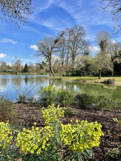Un parterre de terre brune avec quelques plantes en fleurs jaunes occupe le premier plan. En arrière-plan, le lac de Vincennes bordé d’arbres. Le ciel, d’un bleu vif, est décoré de nuages cotonneux. L’ensemble évoque le calme d’un jardin botanique en début de printemps.
