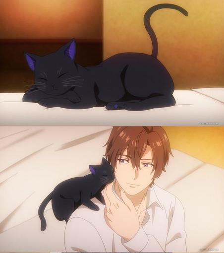 The Adorable Transformation of Tinasha: Unnamed Memory's Kitten Form Phenomenon