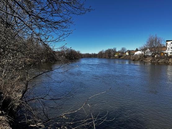 The Passaic River at Passaic, NJ. Its surface is rippled and blue from reflecting the sky. Bare winter trees point from the left. Buildings stand guard on the right.