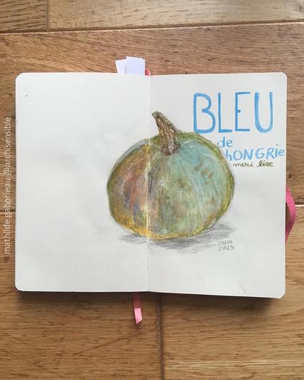 photo d'un carnet de dessin ouvert sur une double page, on y voit un dessin de courge ronde avec en haut a droite le texte "Bleu de hongrie" en graphisme 