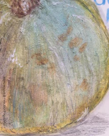 ici une photo zommé sur le detail de matière du dessin de la courge plein de nuance de couleur de matière crayons acrylique, aplat et  trait...