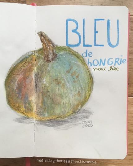 la photo de page un peu plus zoomé on peut y voir l'ombre de la courge, la date du dessin 20/01/2025 et sous le titre un sous titre "merci lise"