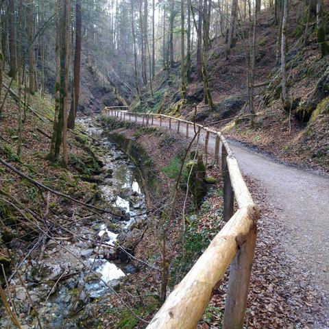 Weg neben einem trockenen Bachbett voller Steine im noch kahlen Wald 