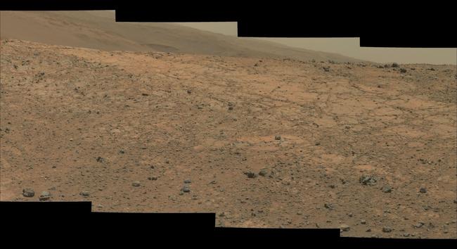 A Martian rock outcrop.