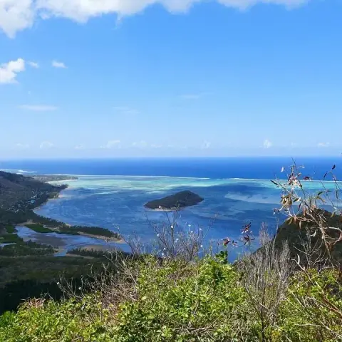 🌊🌈 Der magische Unterwasser-Wasserfall auf Mauritius!