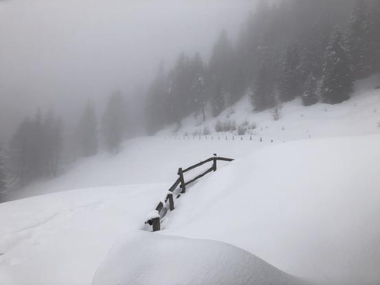 An open space in the mountains covered by snow with a fence in the middle and trees and fog in the distance