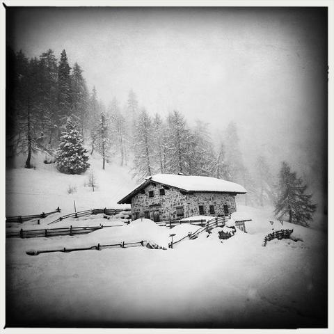 Una malga in montagna, uno steccato e gli alberi sullo sfondo con nebbia in un paesaggio innevato