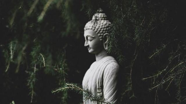 Buddha statue in dark pine forest.